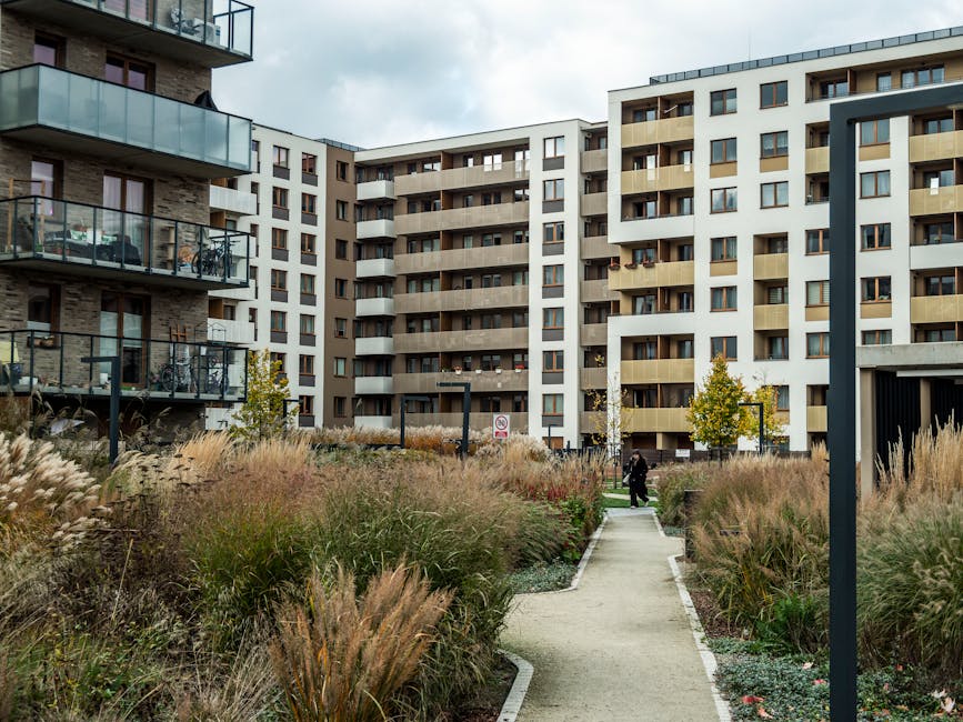 Community activity in warm daylight